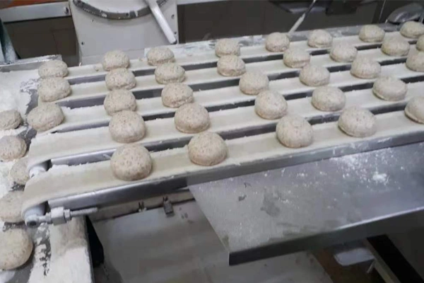 Conveyor Belt For Food Processing Industry