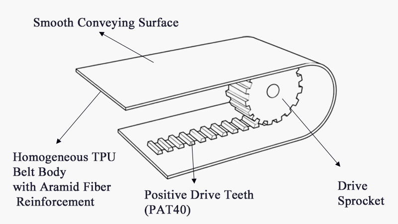 PAT40 Positive Drive Belt Structure Diagram
