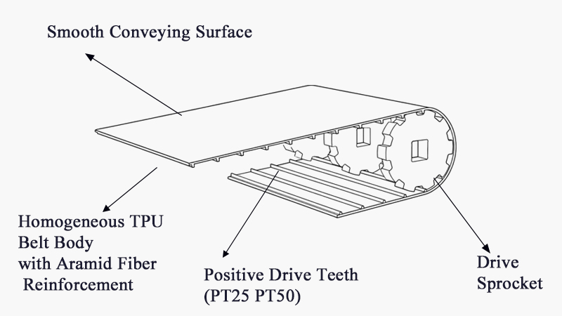 PT25 And PT50 Positive Drive Belt Structure Diagram